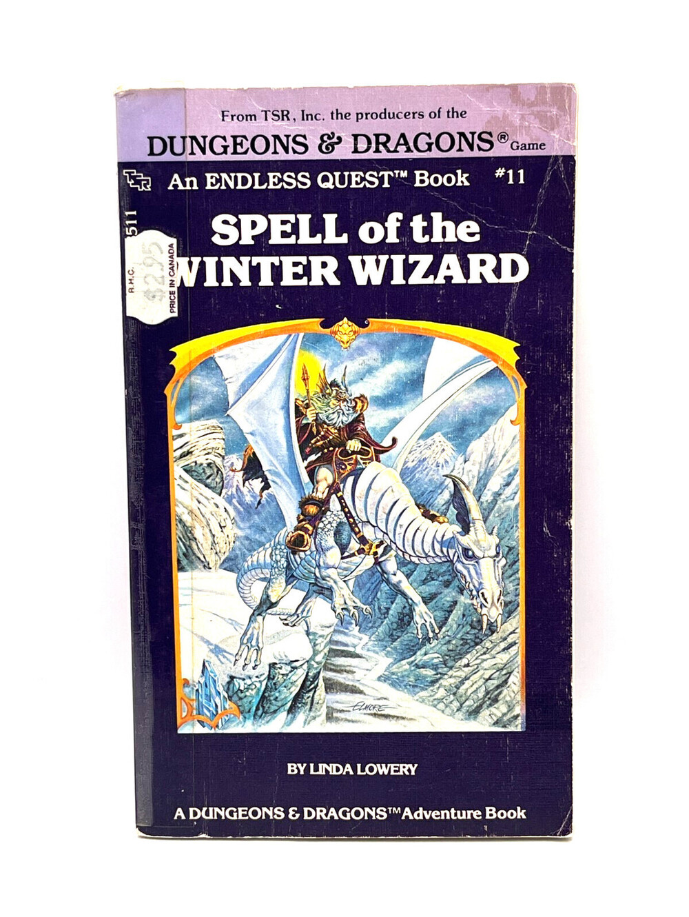 Dungeons and Dragons Endless Quest Book 11 - Spell of the Winter Wizard